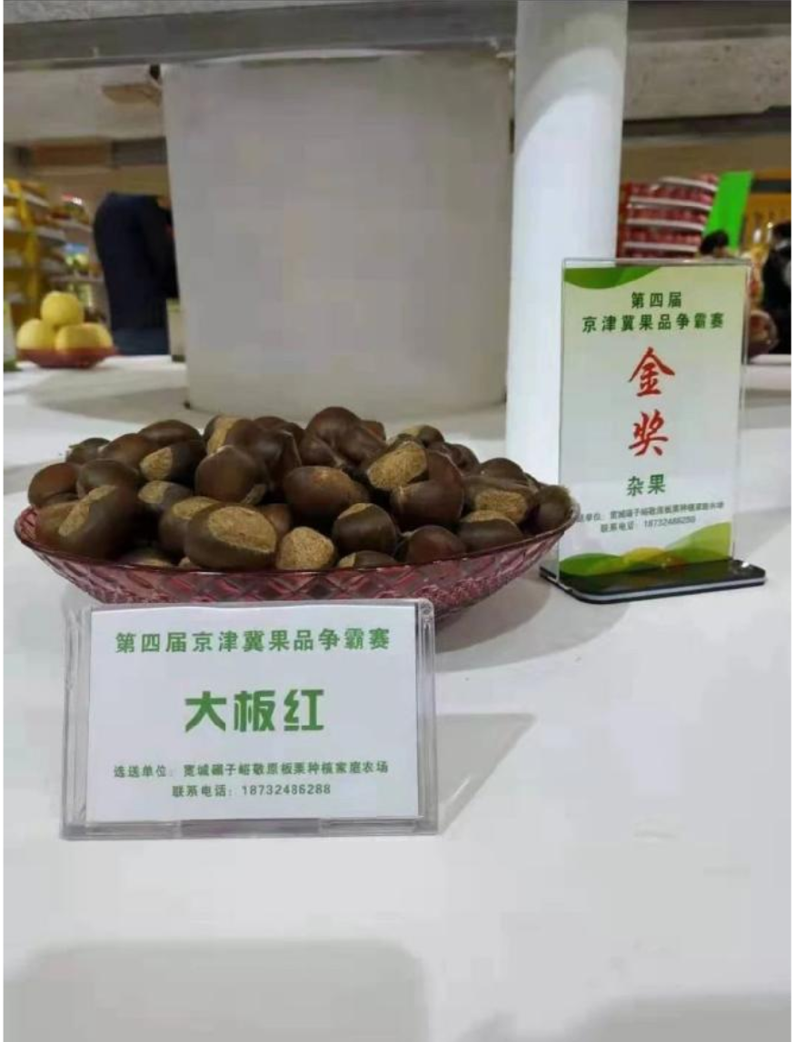 板栗1