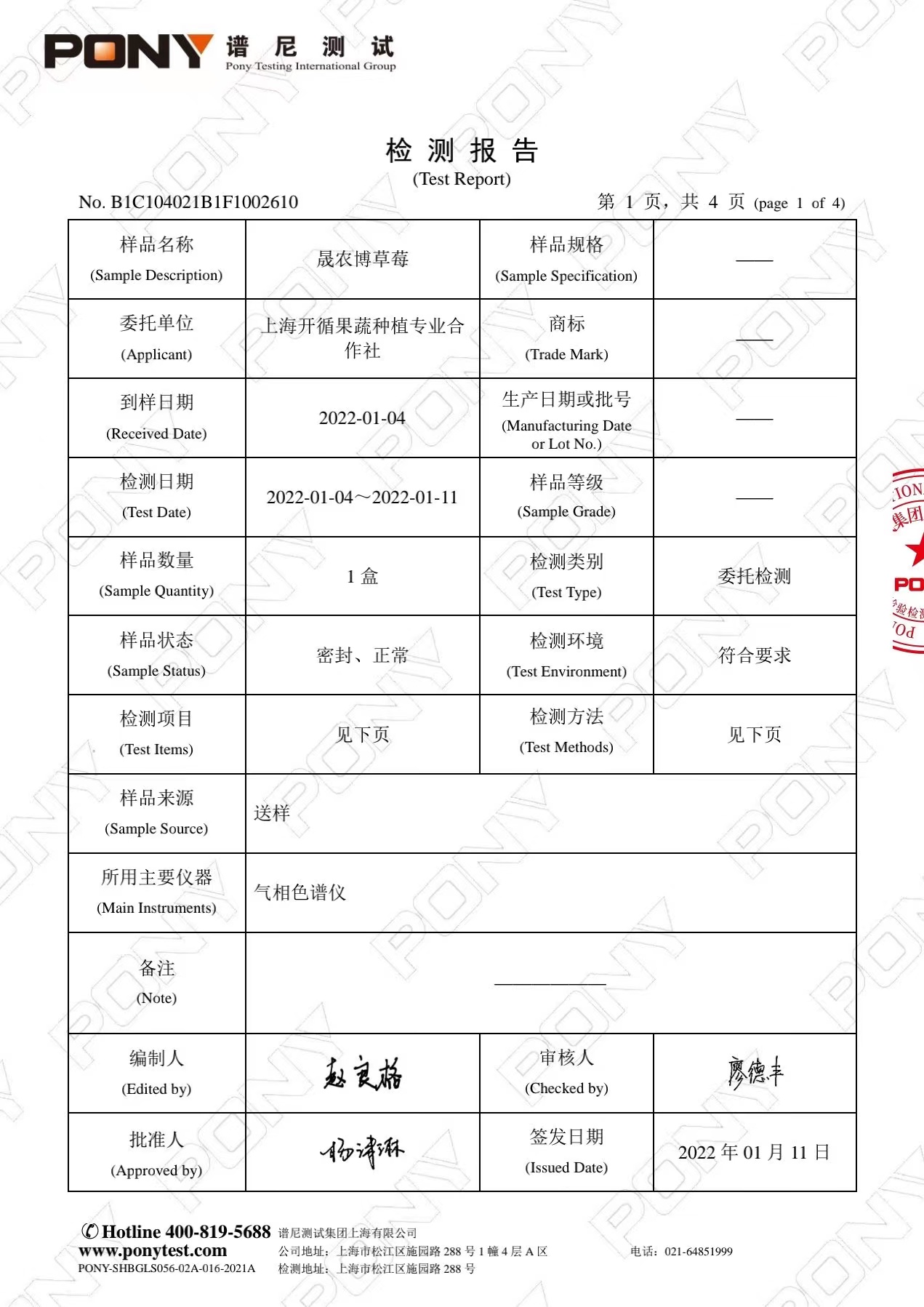 草莓检测报告03