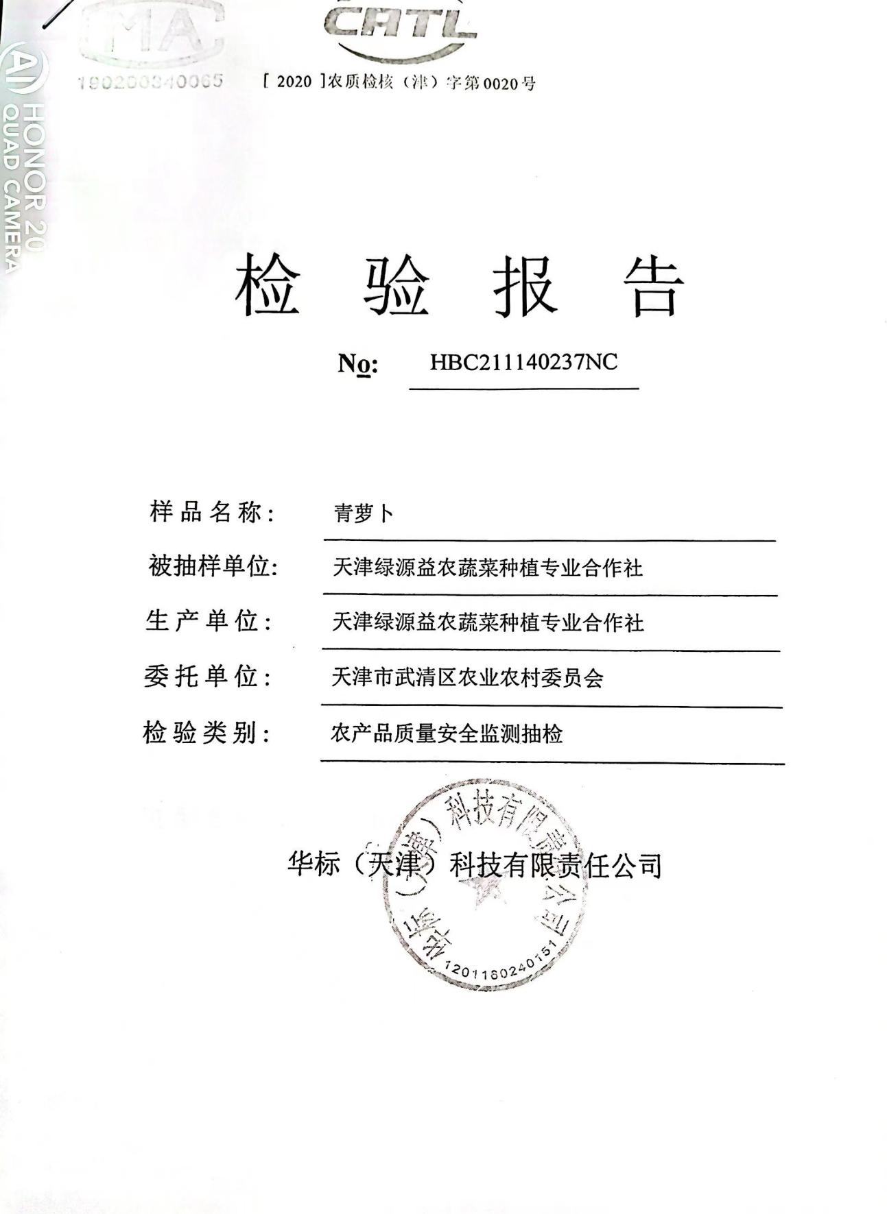 青萝卜检测报告01