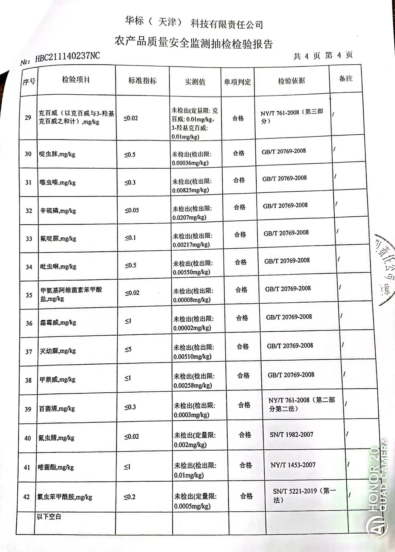 青萝卜检测报告05