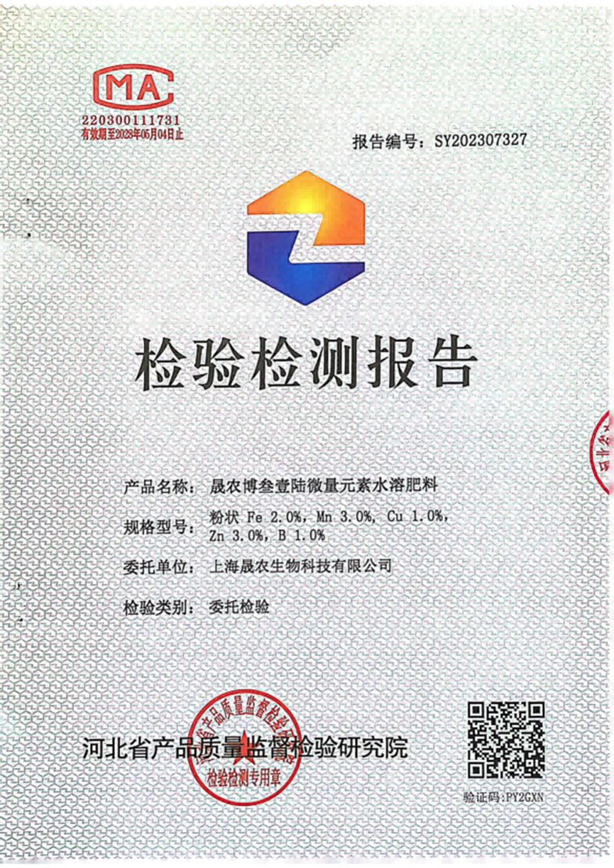 检测报告01
