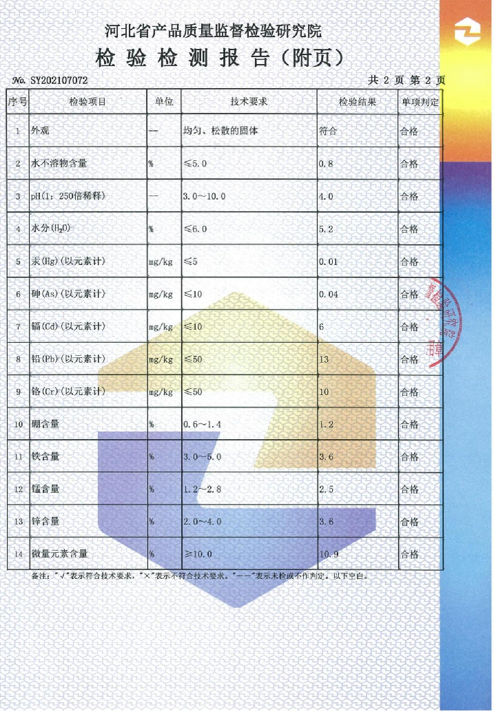 检测报告09