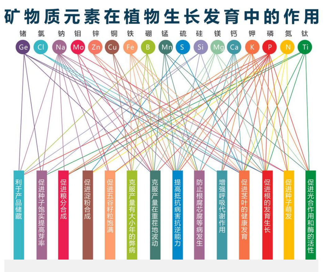 绿色理念